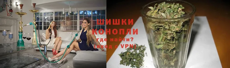 Бошки марихуана THC 21%  закладки  Ивдель 